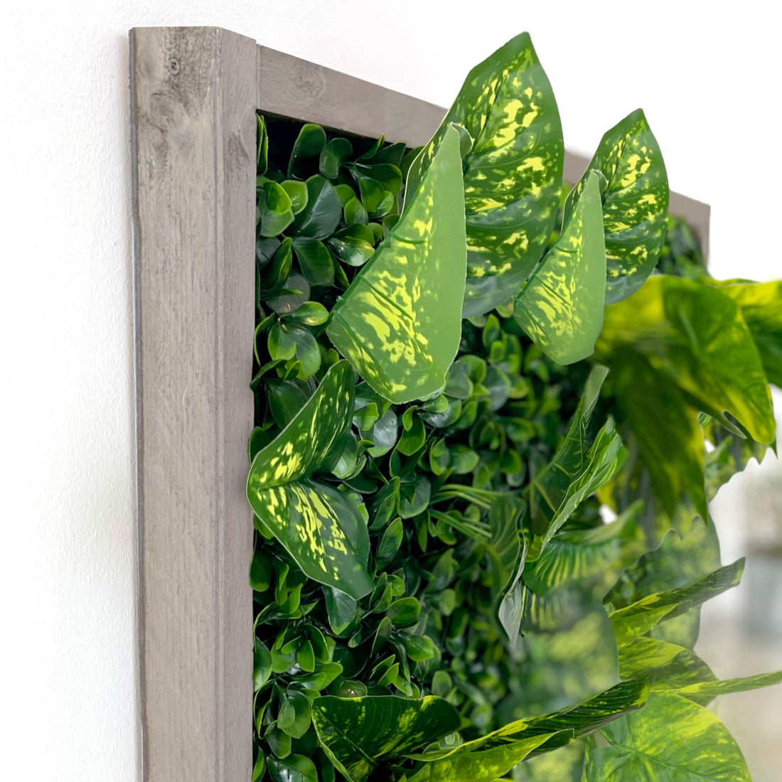 Plantframe/Pflanzenwand/Mooswand "CALI" aus Realtouch Kunstpflanzen mit Fichtenholzrahmen