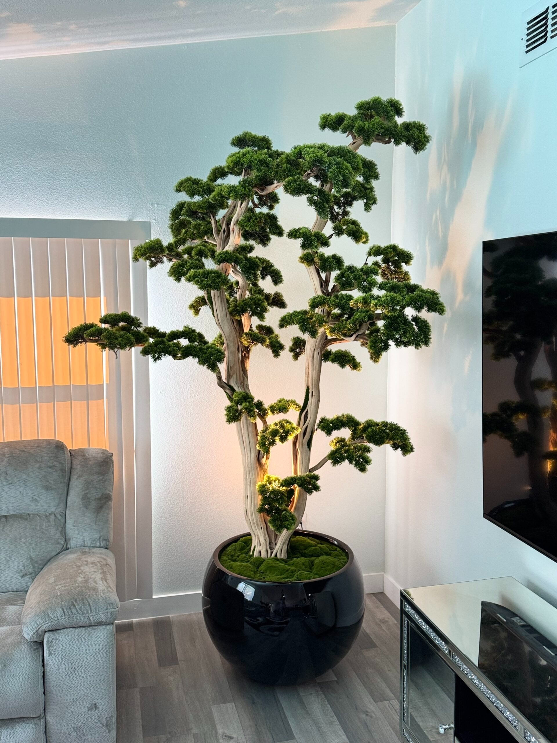 Bonsai in einer runden schwarzen Vase