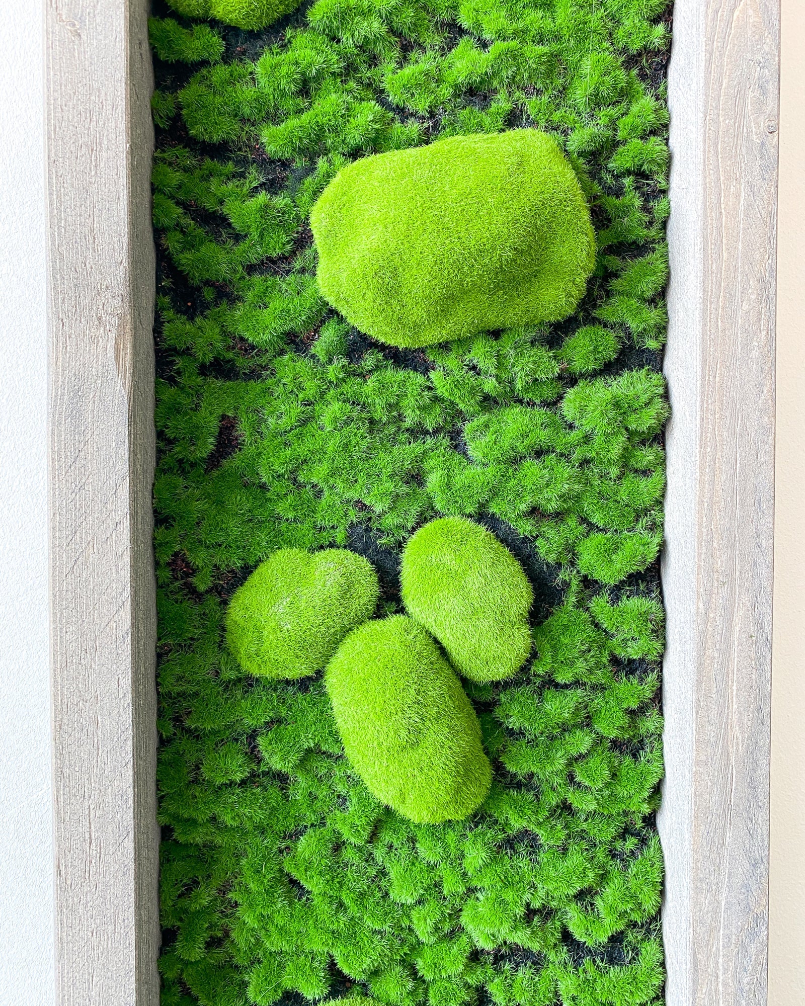 Moosbild/Mooswand/Mooswandkunst "GREEN BUNS" aus Realtouch Kunstmoss mit Fichtenholzrahmen