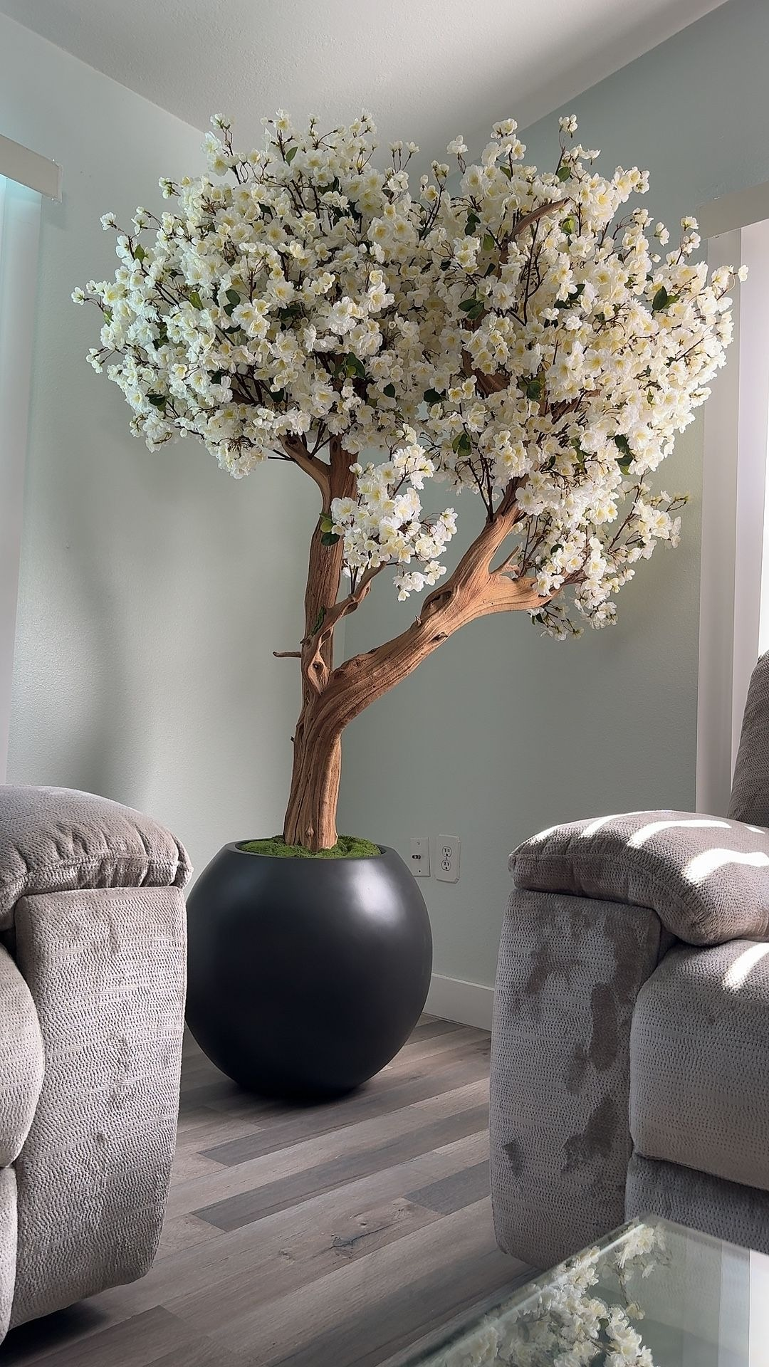 Weißer Kirschblütenbaum in einer runden, mattschwarzen Vase