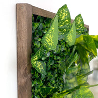 Plantframe/Pflanzenwand/Mooswand "CALI" aus Realtouch Kunstpflanzen mit Fichtenholzrahmen - 56cm x 56cm / sienabraun