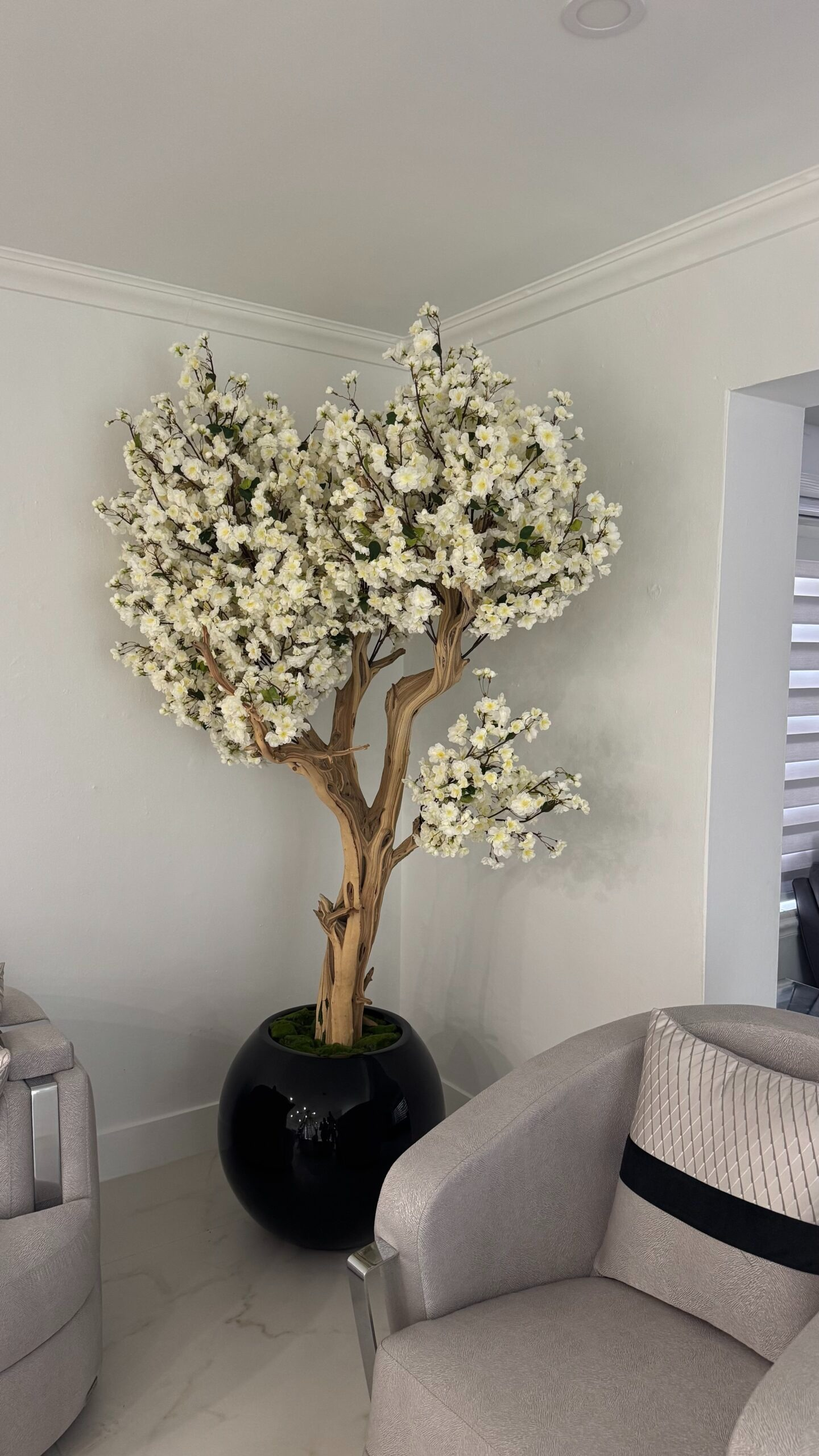Weißer Kirschblütenbaum in einer schwarzen runden Vase
