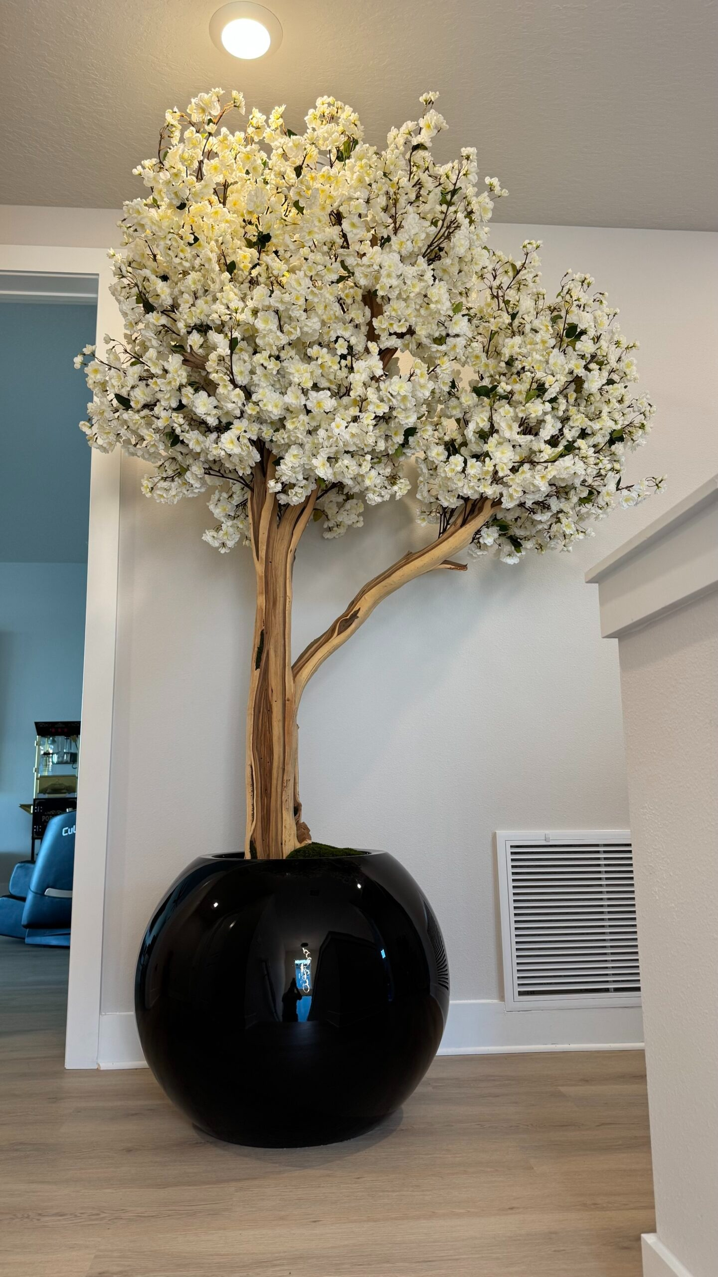 Weißer Kirschblütenbaum in einer schwarzen runden Vase