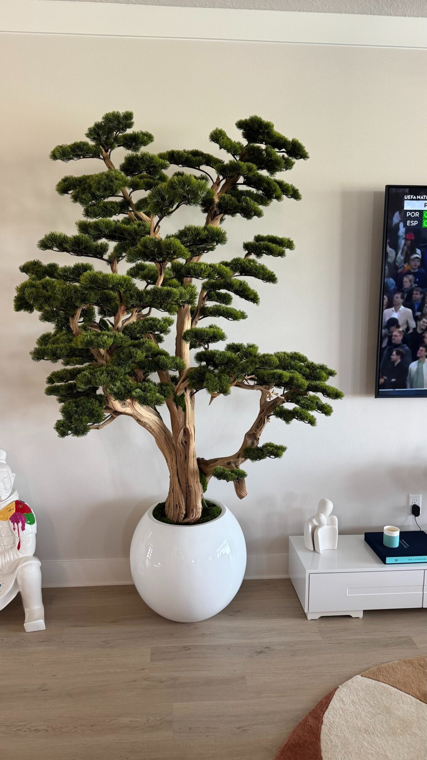 Bonsai in einer runden weißen Vase