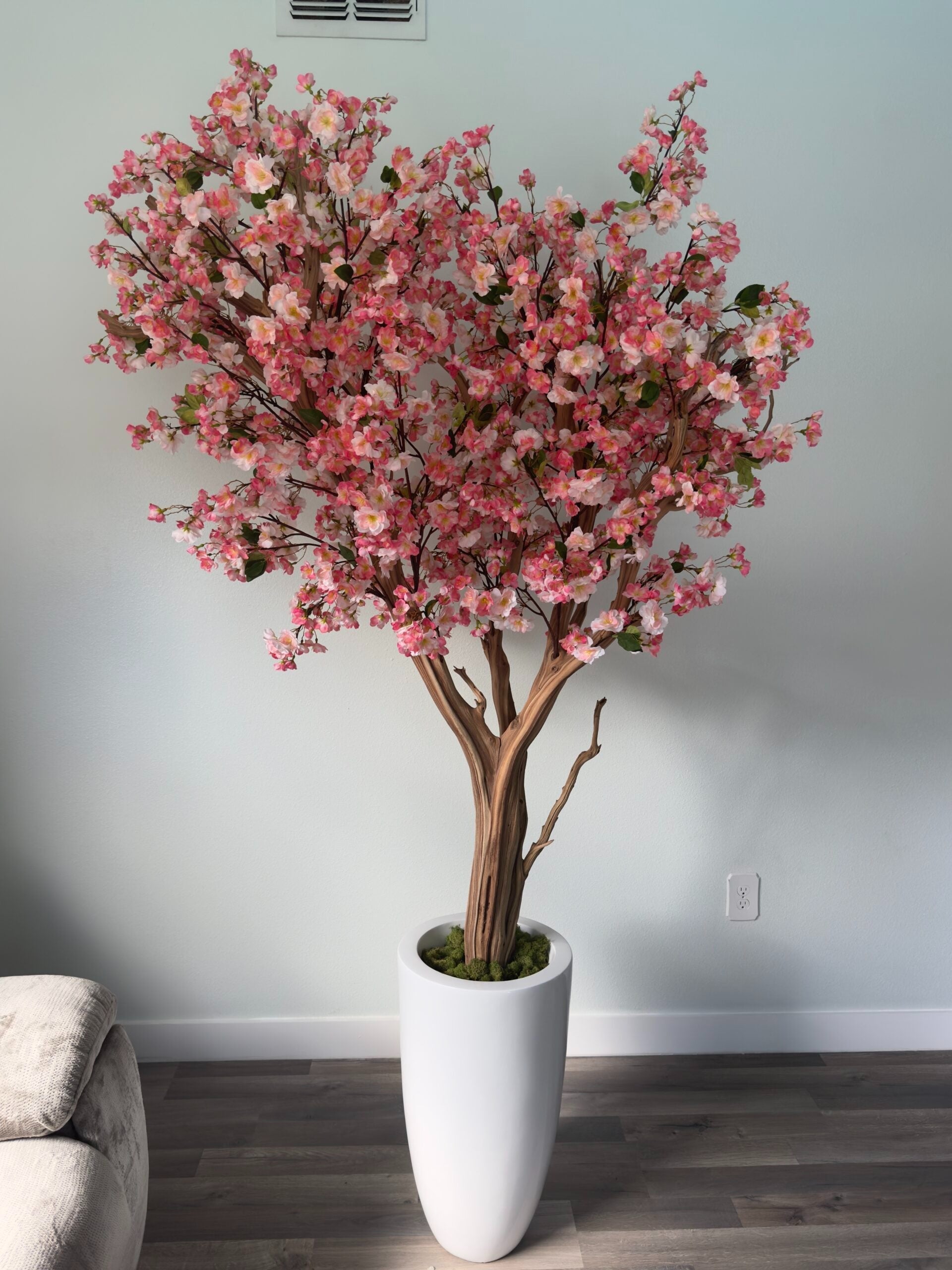 Rosa Kirschblüte in einer weißen Vase